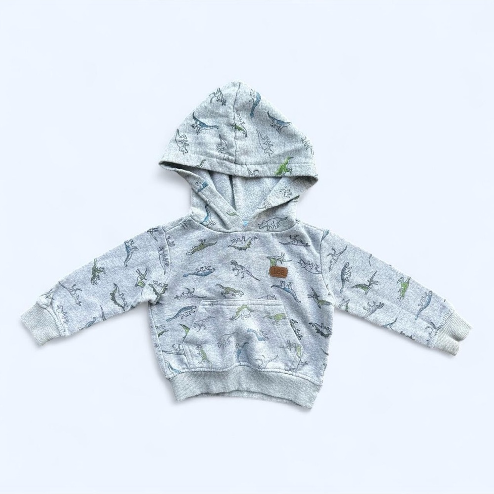 Lee Dinosaur Hoodie Sweatshirt in Gray Baby Boys Size 12 Months